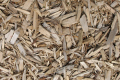 biomass boilers Priory Wood